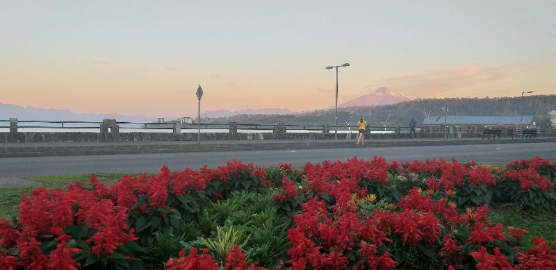 Hotel Suenos Del Volcan Villarrica Eksteriør bilde